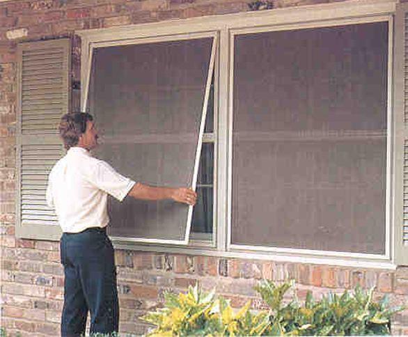 Window Screen