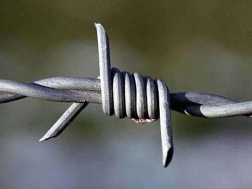 Barbed Wire