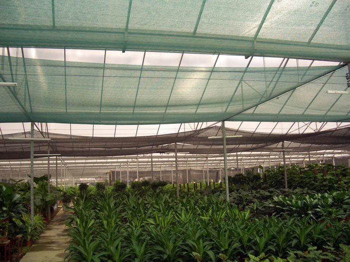 Sun Shade Netting